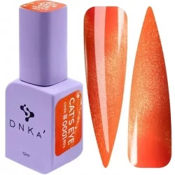 Cat eye gel polish DNKa