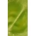 COLOR GEL POLISH CATS EYE DNKa 12 ml #0006 80s HEMA-TPO Free