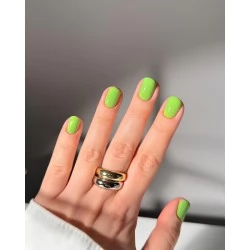 Dark gel polish 148 10 ml