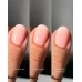 DARK Apricot Top 10 ml