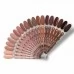 F.O.X Mocha Mousse 101 7 ml F.O.X Mocha Mousse 101 7 ml