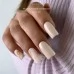 Gel polish Monochrome 127 Latte 10 ml GAMA Gel polish Monochrome 127 Latte 10 ml GAMA