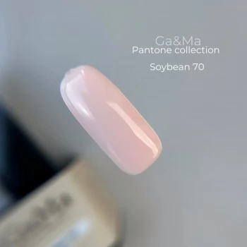 Gel polish Pantone 070 Soybean 10 ml GAMA