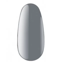 Gel polish BW 60 7 ml Kodi professional