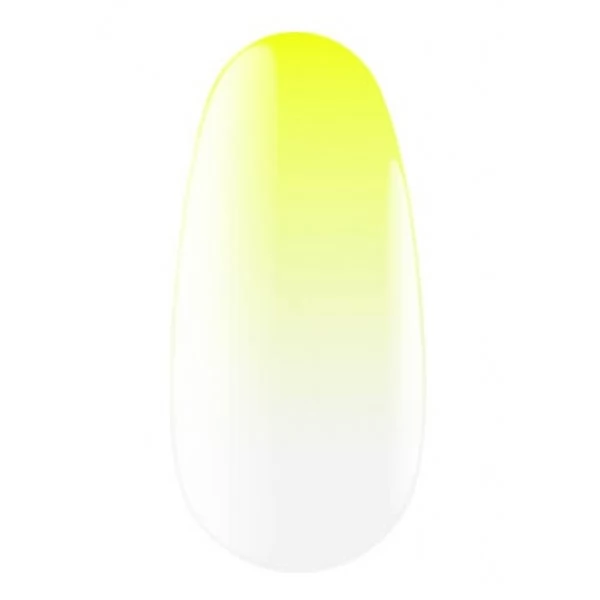 Express spray for ombre 13 5 g Kodi professional Express spray for ombre 13 5 g Kodi professional