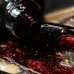 Base NAILSOFTHEDAY Malbec POTAL 02 10 ml Base NAILSOFTHEDAY Malbec POTAL 02 10 ml