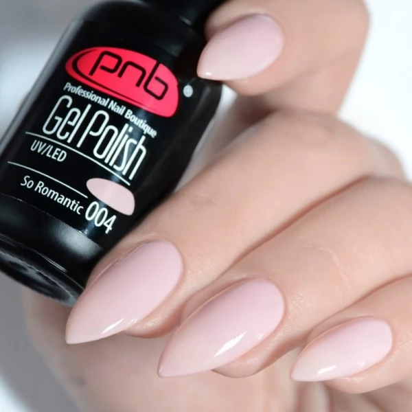 Gel nail polish PNB  004 8 ml
