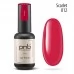 Gel nail polish PNB  012 8 ml                                                                    