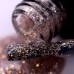 Gel nail polish PNB  042 8 ml