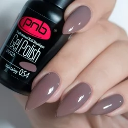 Gel nail polish PNB  054 8 ml