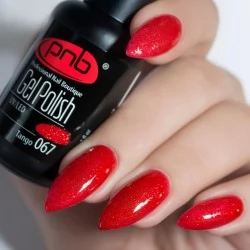 Gel nail polish PNB  067 8 ml