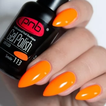 Gel nail polish PNB  113 8 ml