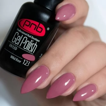 Gel nail polish PNB  123 8 ml