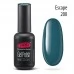 Gel nail polish PNB  200 8 ml