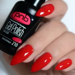 Gel nail polish PNB  210 8 ml