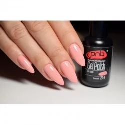 Gel nail polish PNB  214 8 ml