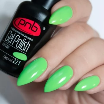 Gel nail polish PNB  221 8 ml