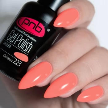 Gel nail polish PNB  223 8 ml