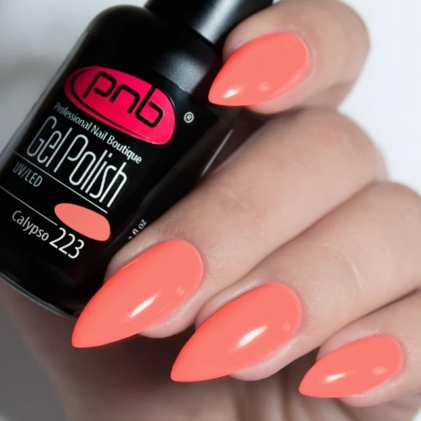 Gel nail polish PNB  223 8 ml