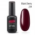 Gel nail polish PNB  234 8 ml