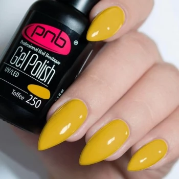 Gel nail polish PNB  250 8 ml