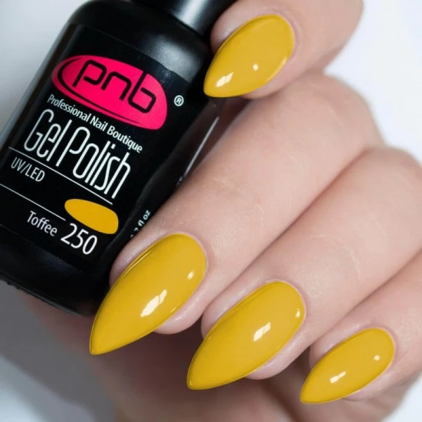 Gel nail polish PNB  250 8 ml