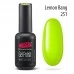 Gel nail polish PNB  251 8 ml