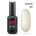 Gel nail polish PNB 262 8 ml Gel nail polish PNB 262 8 ml