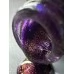 Gel polish SAGA Wild CAT no. 05 9 ml
