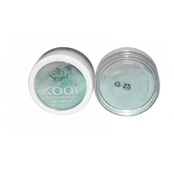 Color acryl 4.5 gr G25