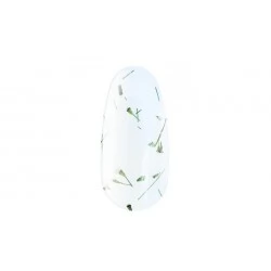Flower gel 01 4 ml