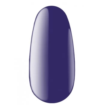 Gel polish 12 ml B 60 Kodi professional