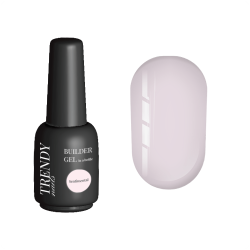 Builder Gel bottle Sentimental 15 ml Trendy Nails